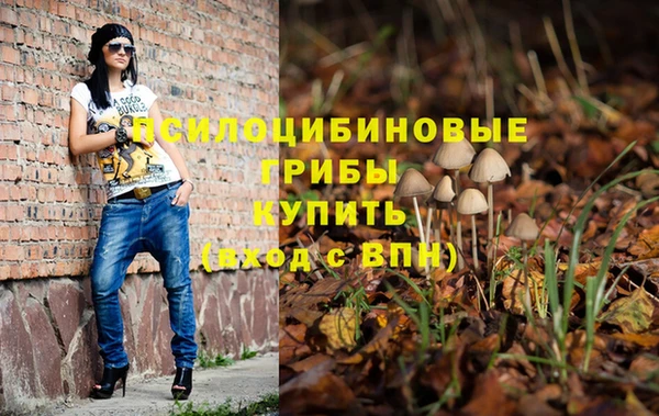 экстази Алексин