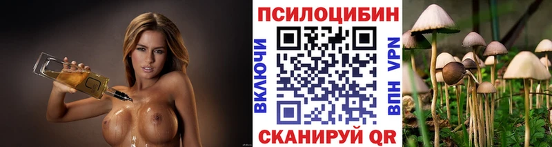 Псилоцибиновые грибы Psilocybine cubensis  Сосенский 
